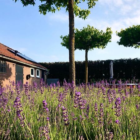 Lavender Lodge Achthuizen Buitenkant foto