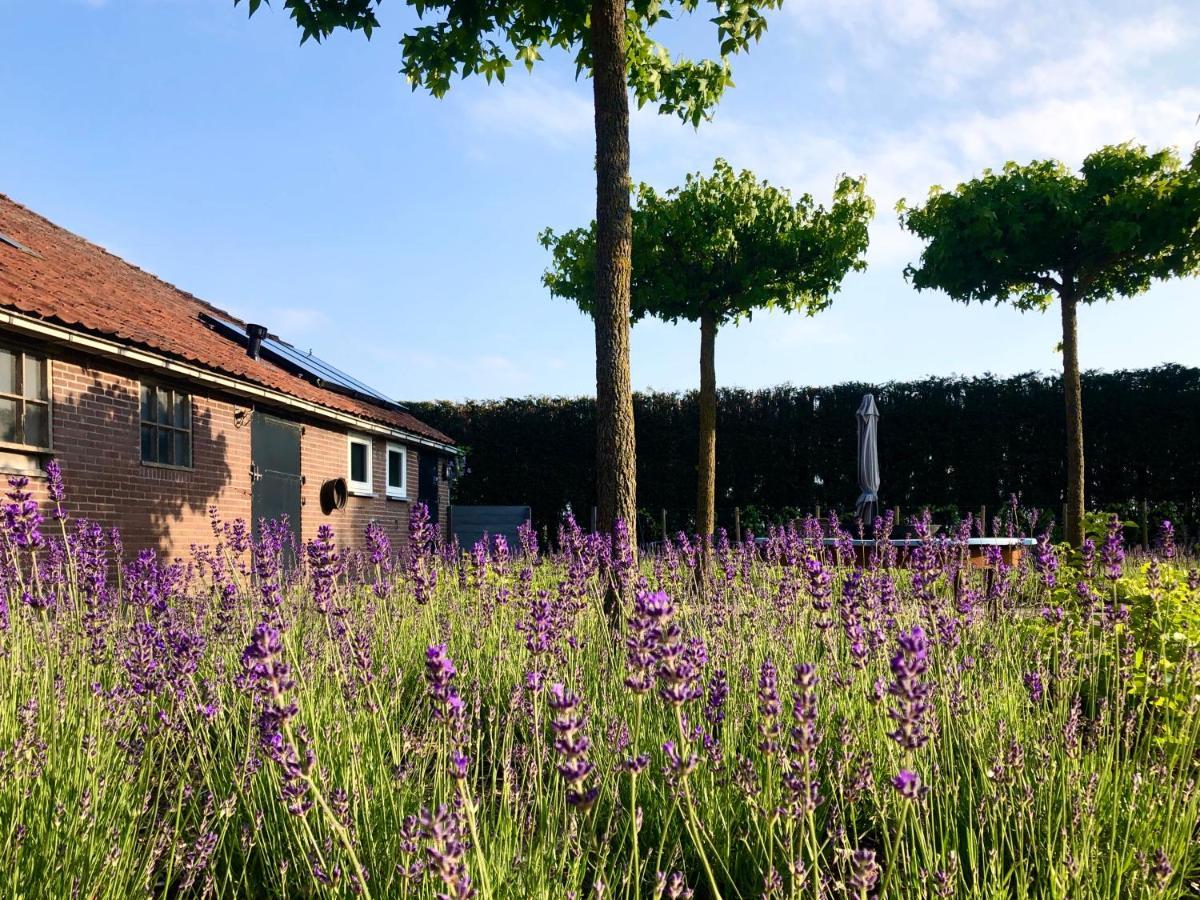 Lavender Lodge Achthuizen Buitenkant foto